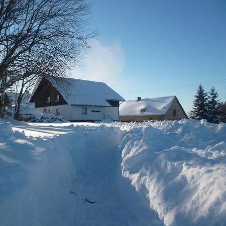 Pension Pugner Vysoké nad Jizerou Екстериор снимка